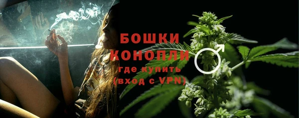 ГАЛЛЮЦИНОГЕННЫЕ ГРИБЫ Абдулино