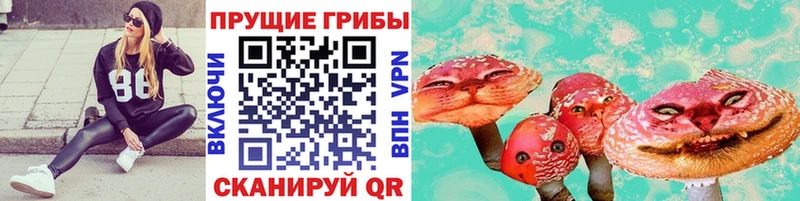 Псилоцибиновые грибы прущие грибы  сайты даркнета Telegram  Карачев  наркота 