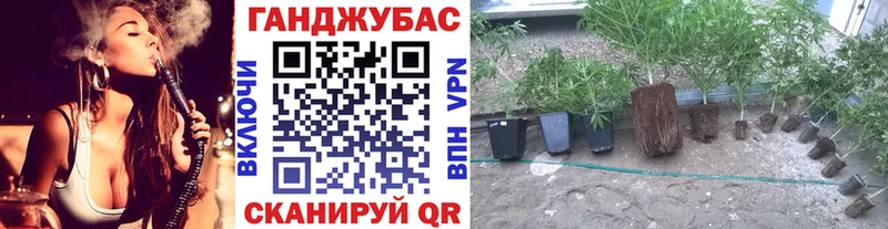 Бошки Шишки конопля  Карачев 
